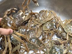 -阆辣荟餐饮(老味道8年·古城店)