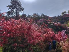 -岳西天峡风景区