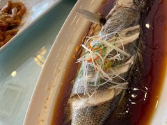 清蒸珍珠斑-碧丽宫大酒店(召稼楼店)