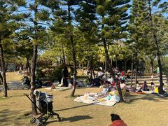 -海珠儿童公园