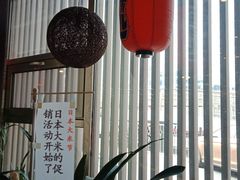 -松子料理(白家庄店)