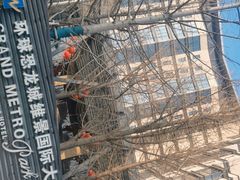 -常州环球恐龙城维景国际大酒店