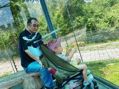 -深圳野生动物园