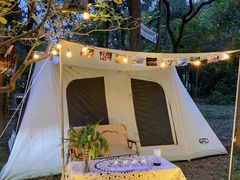 -南宁良凤江国家森林公园