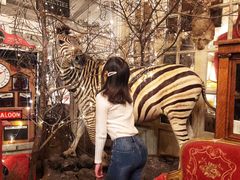 -栖露营camping·天幕烧烤·团建拓展·采摘营地