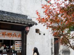 -黎里古镇