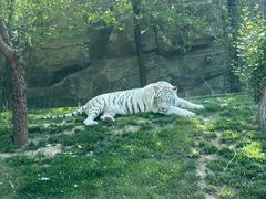 -北京野生动物园