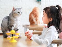 -平行世界·猫咖(首经贸店)