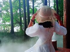 -东湖落雁景区
