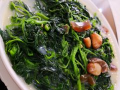 现菜-腰记饭店(龙源路店)