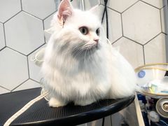 -萌兽医馆·眼科·异宠专科(三里屯店)