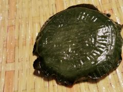 -谢三姐金奖啤酒鱼(总店)