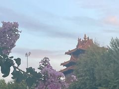 -东华门大街小区