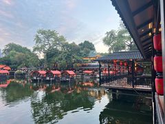 -侨美·唐荔园·40年地道粤菜