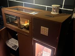 -Xcape异时刻密室逃脱魔法互动(瑞虹天地太阳宫店)