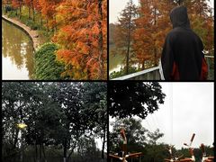 -怡海公园(桂城街道)