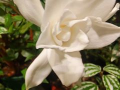 -颐而康·按摩·艾灸·足疗(汽车东站店)