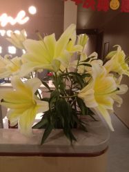 -FineYoga梵音瑜伽·普拉提