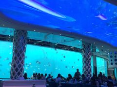 -瑞德姆美人鱼海底演艺主题餐厅(亚龙湾店)