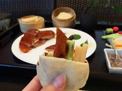 -梧桐