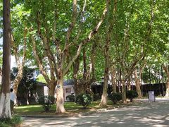 -南京中国近代史遗址博物馆(南京总统府)