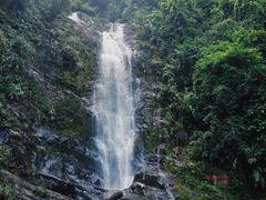 -鼎湖山风景区