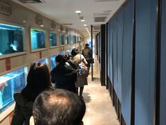-顺峰(农展馆店)