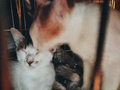 -251#coffee roasters(沿河东路店)