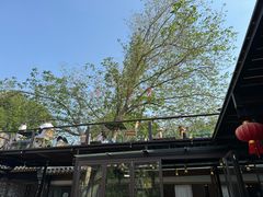 -糖房咖啡(南锣鼓巷店)