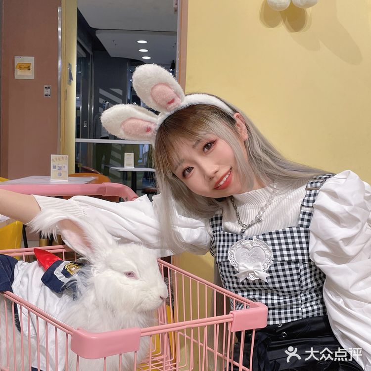 郑州探店｜Nice to meet U🐰爱玩萌兔体验馆
