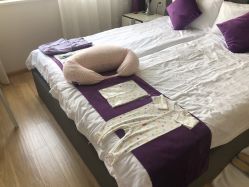 -海豚湾高端月子会所(黄浦店)