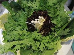 -德天肥牛海鲜火锅(城西银泰店)