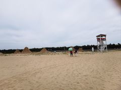-日照海滨国家森林公园