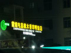 -霞姐屯昌枫木香草鸭店(海螺店)