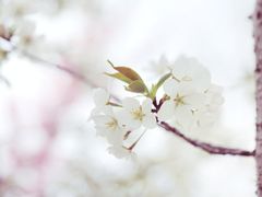 -白塘生态植物园