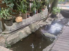 -生机蔬食·24节气料理餐厅(番禺广场店)