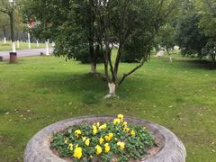 -艾溪湖湿地公园