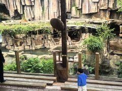 -长鹿旅游休博园