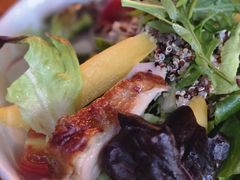 -MR.ROCKY洛奇先生·西餐&酒吧(琶醍店)