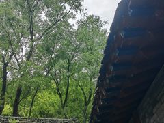 -王顺山国家森林公园
