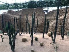 -兰陵国家农业公园