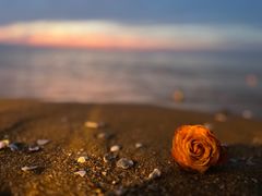 -那香海钻石沙滩浴场