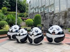 -石排湾郊野公园