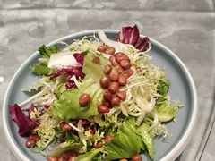 -朱记乳鸽王·非遗石岐乳鸽·全鸽宴(大兴旗舰店)