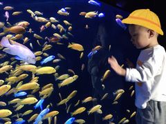 -成都浩海立方海洋公园