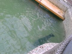 20131020_121915-绿色时代大酒店