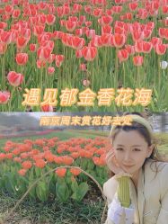 -玄武湖景区-情侣园游乐场
