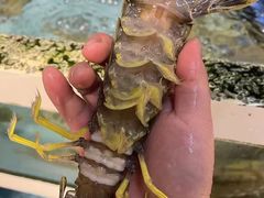 -马王堆海鲜水产市场