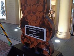 -COACH蔻驰(赛特奥特莱斯店)