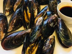 淡菜-莆鑫海鲜城(浏河店)